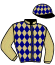 casaque portée par Lecanu F. jockey du cheval de course HELIOS D'EURVAD, information pmu ZETURF