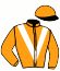 casaque portée par Dromigny T. jockey du cheval de course JASMINE DE L'AVRE, information pmu ZETURF