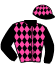 casaque portée par Hue D. jockey du cheval de course KALEO DE BANVILLE, information pmu ZETURF