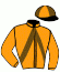 casaque portée par Ploquin Pau. Ph. jockey du cheval de course KORA DE BLARY, information pmu ZETURF