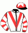 casaque portée par Janacek V. jockey du cheval de course THE WAY OF BONNIE, information pmu ZETURF