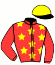 casaque portée par Gout R. jockey du cheval de course HUNE (FR), information pmu ZETURF