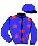 casaque portée par Sorel J. Ch. jockey du cheval de course FICTOR DES ROMAINS (FR), information pmu ZETURF