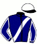 casaque portée par Foucault V. jockey du cheval de course DIVINE LUDOISE (FR), information pmu ZETURF