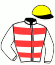 casaque portée par Hardouin E. jockey du cheval de course BLACK PANTHER (FR), information pmu ZETURF