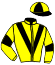 casaque portée par Boudot P. C. jockey du cheval de course A SPECIAL LINE (FR), information pmu ZETURF