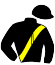 casaque portée par Gelormini G. jockey du cheval de course GIVE ME CASH (FR), information pmu ZETURF