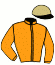 casaque portée par Feron J. Ch. jockey du cheval de course DRAGON ROUGE (FR), information pmu ZETURF