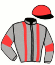 casaque portée par Feron J. Ch. jockey du cheval de course DELTA DE LOIRON (FR), information pmu ZETURF