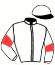 casaque portée par Ensch N. jockey du cheval de course GOLDWYN DU CAUX (FR), information pmu ZETURF