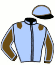 casaque portée par Foucault V. jockey du cheval de course ECLAT D'ORVAL (FR), information pmu ZETURF