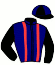 casaque portée par Bekaert D. jockey du cheval de course GALAXY DU RABUTIN (FR), information pmu ZETURF