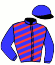 casaque portée par Sorel J. Ch. jockey du cheval de course GERIBIA DES BORDES, information pmu ZETURF
