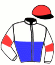 casaque portée par Ferreira J. D. jockey du cheval de course ILE DE SAINTS, information pmu ZETURF