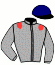 casaque portée par Lebouteiller P. jockey du cheval de course JAM DE FOURCADE, information pmu ZETURF