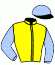 casaque portée par Legros M. jockey du cheval de course JUVENILE CUP, information pmu ZETURF