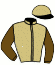 casaque portée par Fleury Q. jockey du cheval de course FANGIO GRIFF, information pmu ZETURF