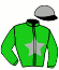 casaque portée par Gillet T. jockey du cheval de course THE ICONIST, information pmu ZETURF