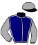 casaque portée par Lefebvre Mr C. jockey du cheval de course HIPPOCAMPE, information pmu ZETURF