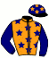 casaque portée par Gillet T. jockey du cheval de course MILLTOP, information pmu ZETURF