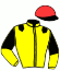 casaque portée par Lemoine G. jockey du cheval de course IRISH GOLD, information pmu ZETURF