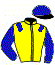 casaque portée par Demuro C. jockey du cheval de course BLU METAL JACKET, information pmu ZETURF