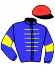 casaque portée par Velon Mlle M. jockey du cheval de course ZEROSTRESS, information pmu ZETURF