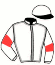 casaque portée par Lecoeuvre C. jockey du cheval de course CENIZA, information pmu ZETURF