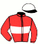 casaque portée par Roussel Léo jockey du cheval de course INSIGNIA OF RANK, information pmu ZETURF