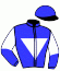casaque portée par Lemaitre A. jockey du cheval de course ENTEI, information pmu ZETURF