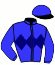 casaque portée par Pouchin A. jockey du cheval de course ALBEA, information pmu ZETURF