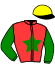 casaque portée par Derieux R. jockey du cheval de course ICARE DU DOLLAR, information pmu ZETURF