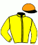 casaque portée par Guyon M. jockey du cheval de course MILLE SABORDS, information pmu ZETURF