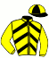 casaque portée par Saussaye V. jockey du cheval de course GAIN ULTIME, information pmu ZETURF