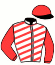 casaque portée par Lenoir M. jockey du cheval de course KRISTO STAR, information pmu ZETURF