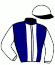 casaque portée par Legros M. jockey du cheval de course FAST DOMINO, information pmu ZETURF