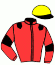 casaque portée par Grandin M. jockey du cheval de course TRAFALGAR SQUARE, information pmu ZETURF casaque portée par Grandin M. jockey du cheval de course TRAFALGAR SQUARE, information pmu ZETURF