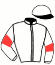 casaque portée par Grasset M. jockey du cheval de course GENTLEMAN DE LARRE, information pmu ZETURF casaque portée par Grasset M. jockey du cheval de course GENTLEMAN DE LARRE, information pmu ZETURF