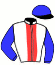 casaque portée par Pouchin A. jockey du cheval de course ROYAL RIGHT, information pmu ZETURF