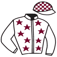 casaque portée par Non Partant jockey du cheval de course TOTAL KNOCKOUT, information pmu ZETURF