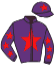 casaque portée par Crublet E. jockey du cheval de course PURPLE STAR, information pmu ZETURF