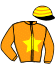 casaque portée par Havlik Jan jockey du cheval de course WONDER WOOD, information pmu ZETURF