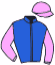 casaque portée par Velon Mlle M. jockey du cheval de course WOODY WOOD, information pmu ZETURF