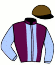casaque portée par Donabedian Mlle M. jockey du cheval de course DES SABOTS D'OR, information pmu ZETURF