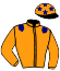 casaque portée par Sorel J. Ch. jockey du cheval de course IDEAL DE JEAN, information pmu ZETURF