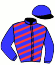 casaque portée par Grelin Mme Vér. jockey du cheval de course FUSION, information pmu ZETURF