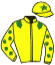 casaque portée par Bachelot T. jockey du cheval de course OPALKA, information pmu ZETURF