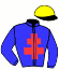 casaque portée par Bekaert D. jockey du cheval de course KAICHA, information pmu ZETURF