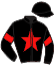 casaque portée par Izzo M. jockey du cheval de course JUMPER D'ERABLE, information pmu ZETURF casaque portée par Izzo M. jockey du cheval de course JUMPER D'ERABLE, information pmu ZETURF