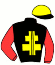 casaque portée par Feron J. Ch. jockey du cheval de course HILAIRE DES PLANS, information pmu ZETURF casaque portée par Feron J. Ch. jockey du cheval de course HILAIRE DES PLANS, information pmu ZETURF